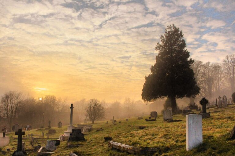 Respect the Dead