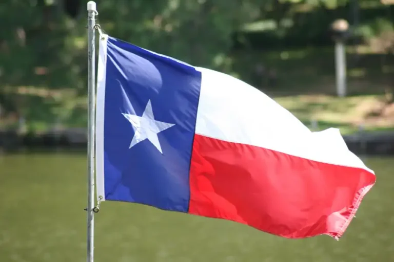 EVERYTHING IS BIGGER IN TEXAS