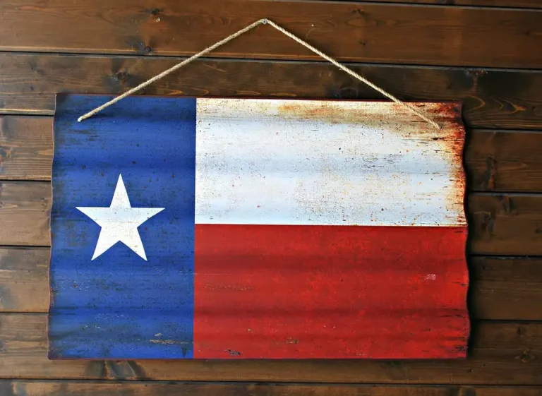 TEXAS, OUR TEXAS