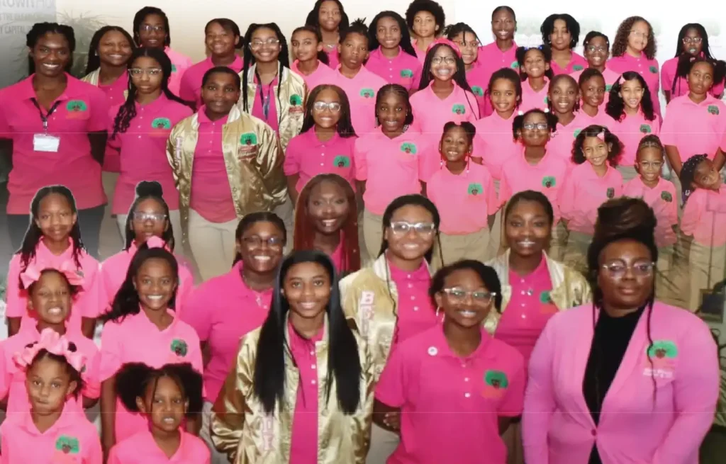 BLACK GIRLS DO ENGINEER