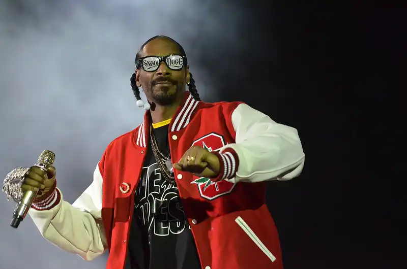 Snoop Dogg From Rap Icon to Business Mogul