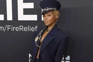 Janelle Monáe Labels President Donald Trump At the Human Rights Campaign’s Dinner