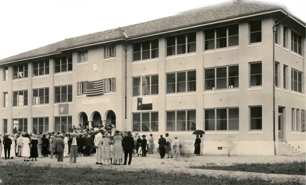 THE HOUSTON NEGRO HOSPITAL