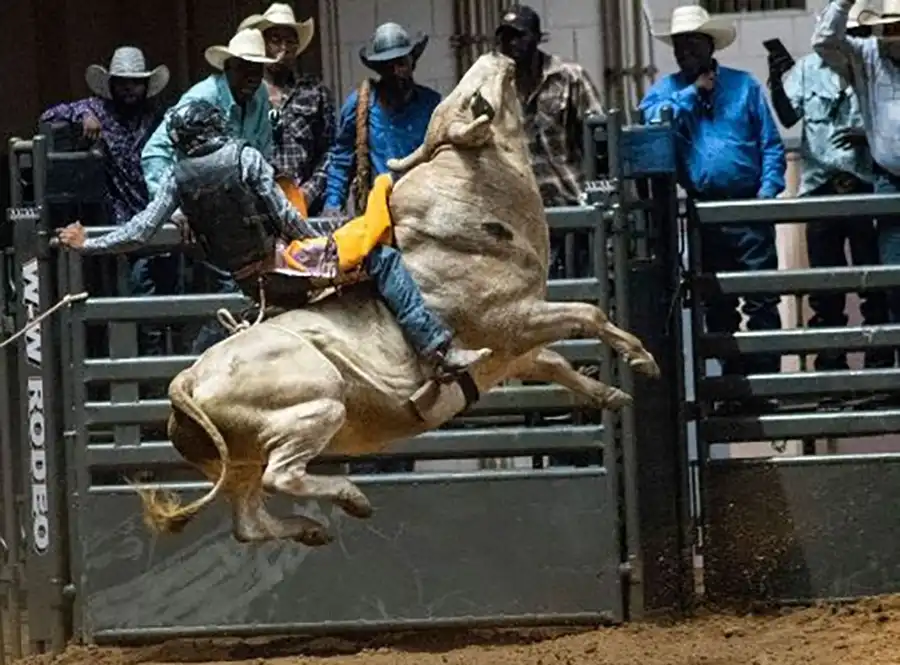 Black Rodeo Returns to Fair Park