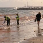 Red Tide Warning Issued for Galveston and Bolivar Beaches