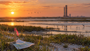 Illustration of South Texas coastal wetlands and birds with a generic rocket and launch tower in the distance, representing the disputed federal land swap.